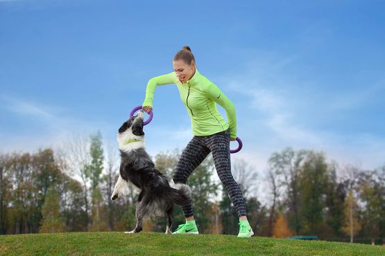 PULLER Midi Interactive Dog Toy Fitness Tool Set - Image 4