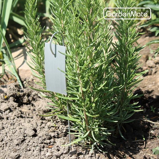 GardenMate Set of 25 weatherproof metal plant labels hanging on a metal rod, Height 25cm, Label Area 7.5 x 3.5 cm - Image 4