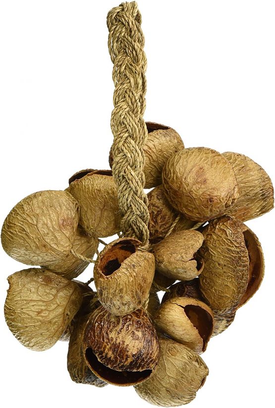 Toca Seed Shell Shaker