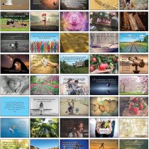Inspirational Mindfulness Postcard Set of 40 Postcards. 40 Different Motivational and Mindful Quotes (40)