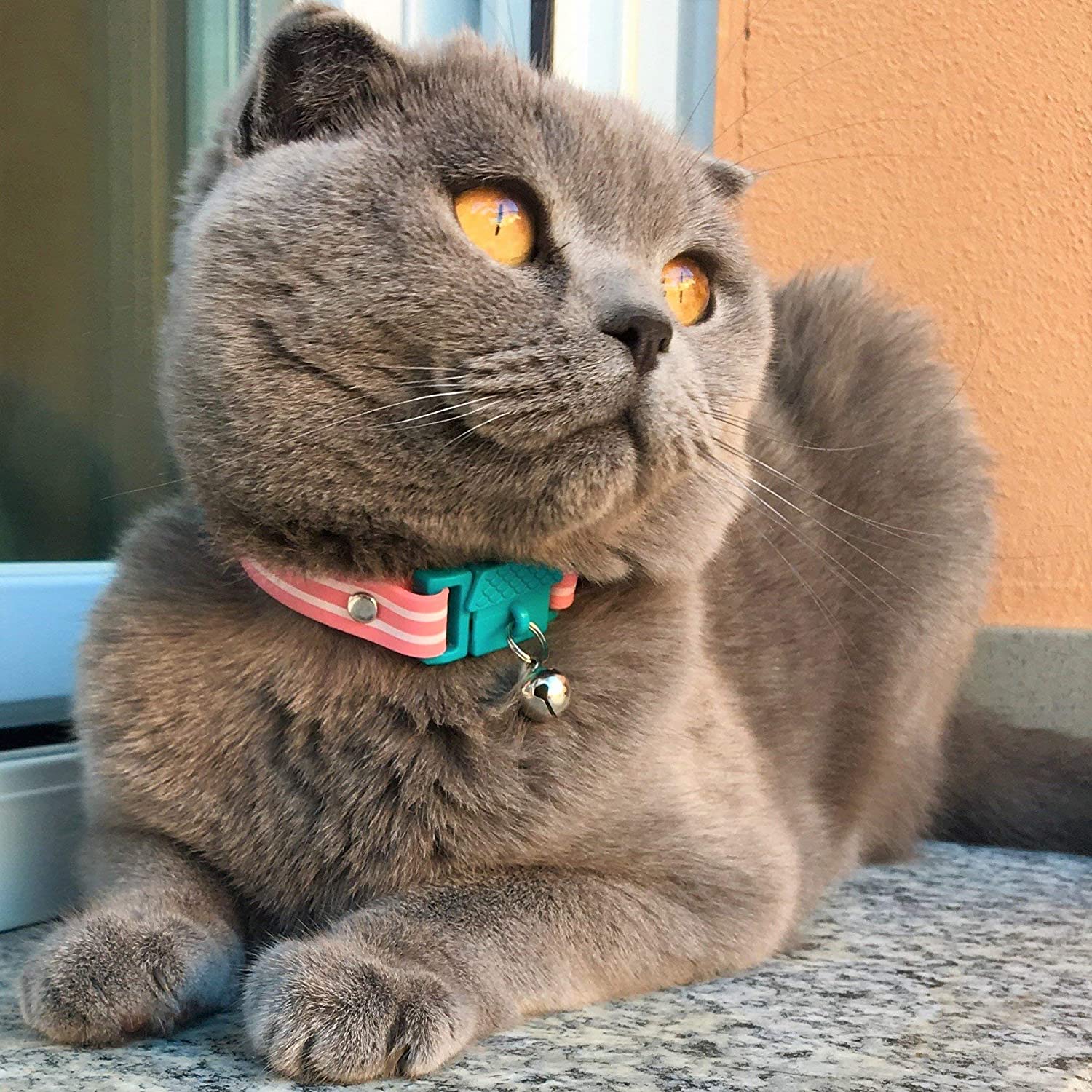 Kittyrama Cat Collar with Bell. Approved by Vets and Cat Experts. As