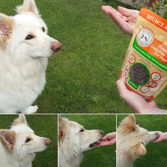Bounce and Bella Grain Free Dog Training Treats - 800 Tasty & Healthy Treat Pack - 80% Fresh Poultry Meat, 20% Potato & Sweet Potato - Hypoallergenic Treats for Dogs with Sensitive Stomachs - Image 2
