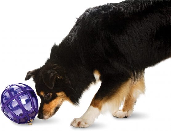 PetSafe Busy Buddy Kibble Nibble M/L, Interactive Meal Dispensing Dog Toy, Feeder Ball for Medium and Large Dogs - Image 3