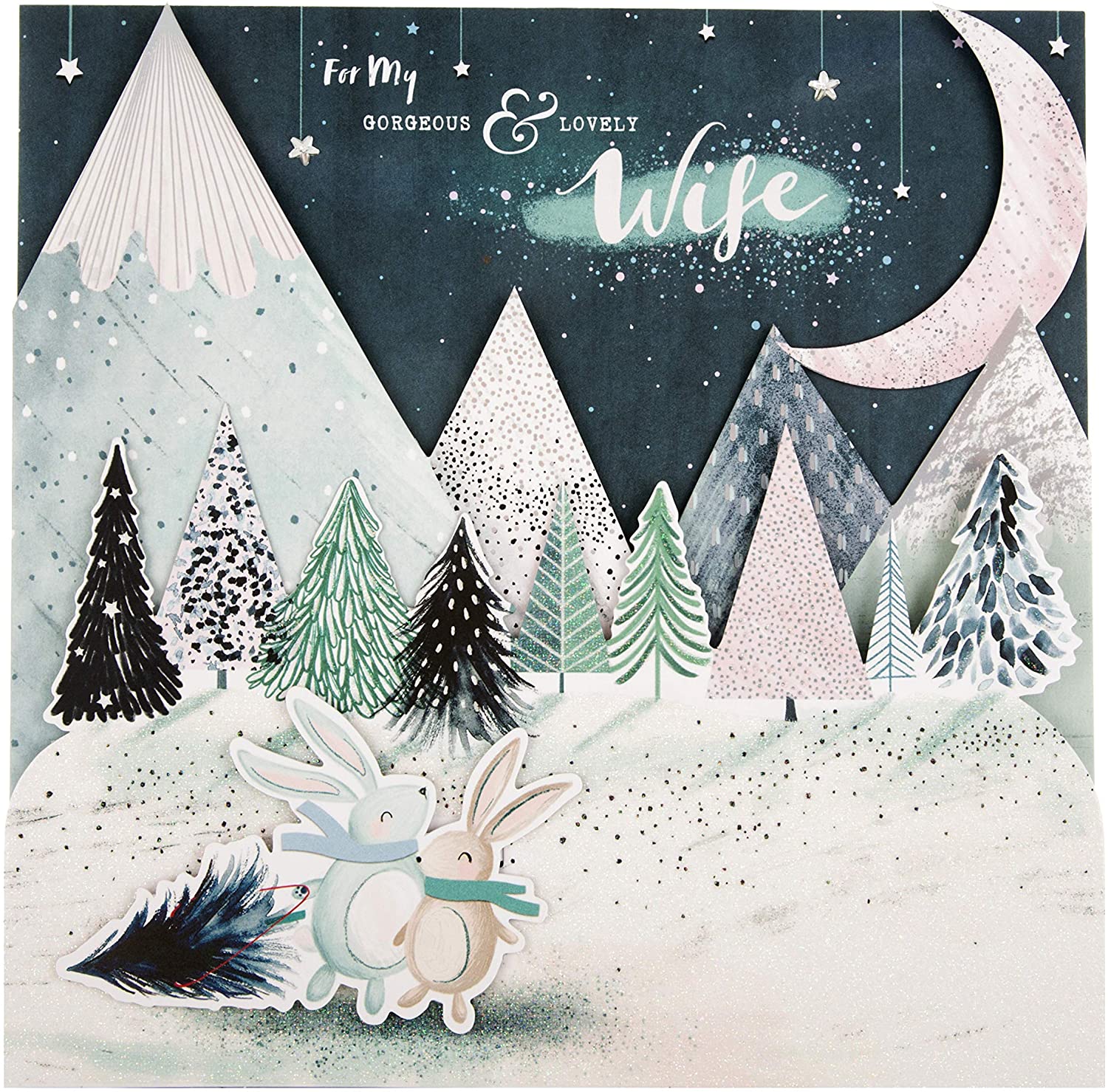 Hallmark Christmas Card for Wife - Cute 3D Fold-Out Rabbits Design, Blue, Green & White, 22 cm by 22 cm