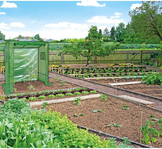 Dehner Tomaten-Gewächshaus, ca. 190 x 170 x 80 cm, Kunststoff/Stahl, grün Tomato Greenhouse, Green - Image 2
