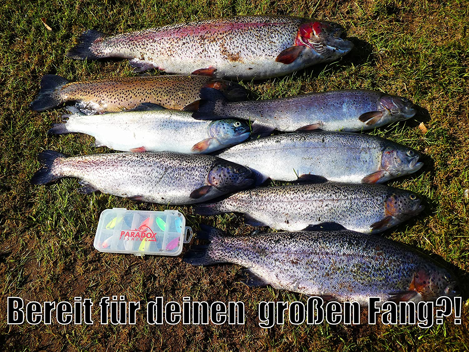 Paradox Fishing Trout Bait Set, 10 Assorted UV Spoon Indicators, 5 Snaps, FISHING_HOOK for Trout Fishing - Image 4