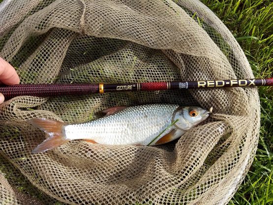 Goture Telescopic Fishing Rods Carbon Fiber Tenkara Rod Ultra Light Carp Fishing Pole Spinning Rod 10FT 12FT 15FT 18FT 21FT 24FT + Top 3 Segments - Image 3