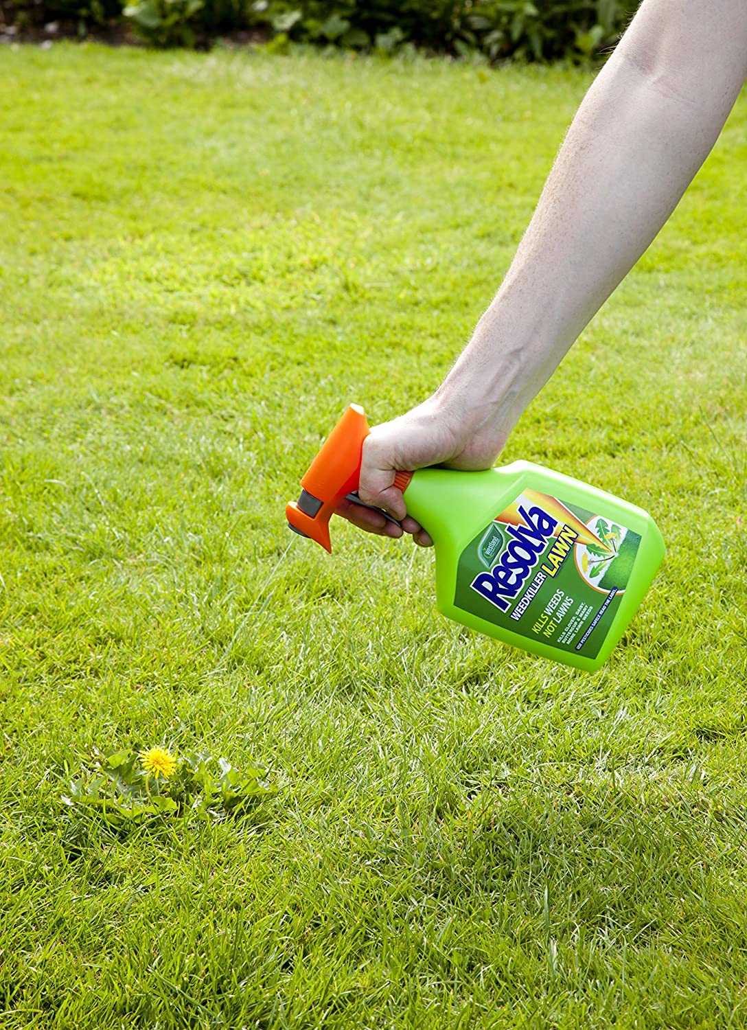 Resolva Lawn Weed Killer Extra Ready To Use, 1 Litre - Image 2