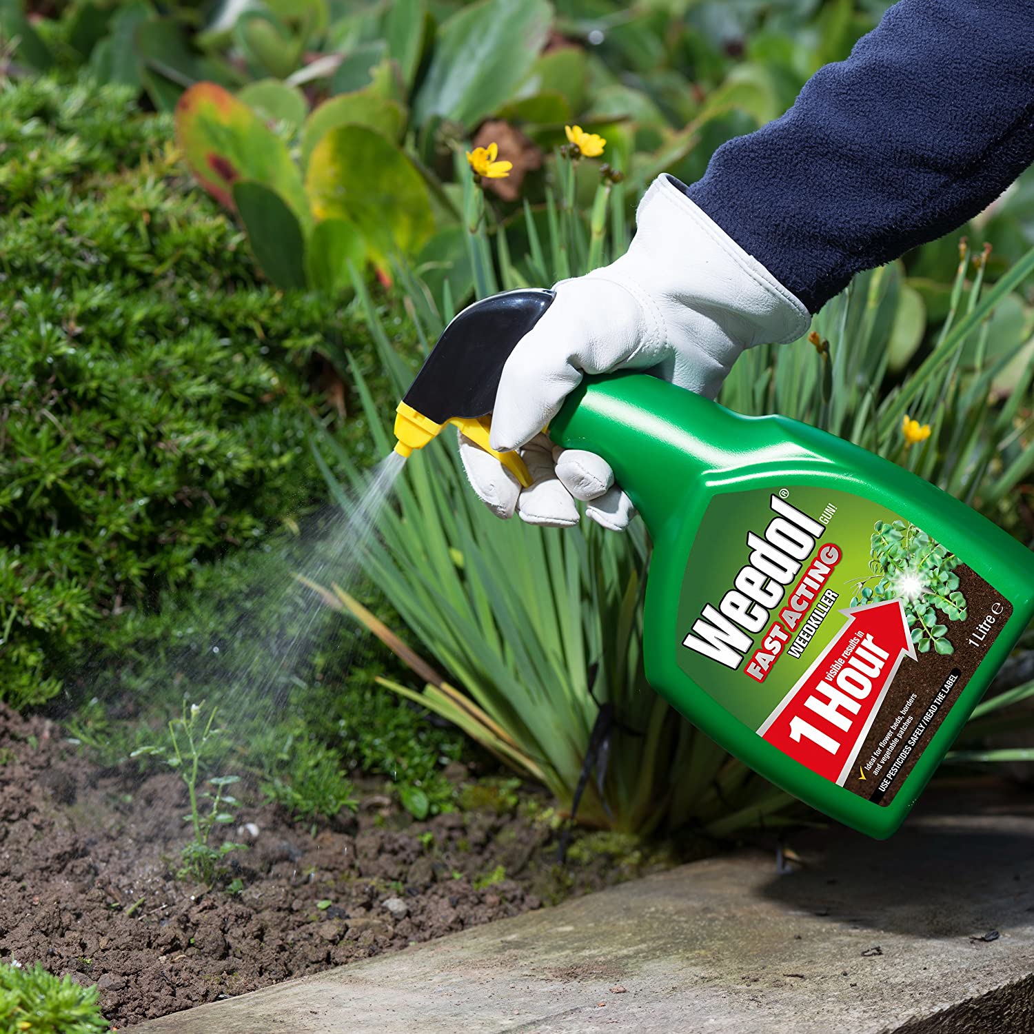 Weedol 015001 Fast Acting Weedkiller, 1 Litre Spray Gun, Multicolored - Image 3