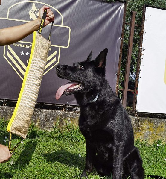 Dingo Jute Bite Tug With Two Extra Strong Handles For Tug Of War Play Dog Bite Training 10553 - Image 3