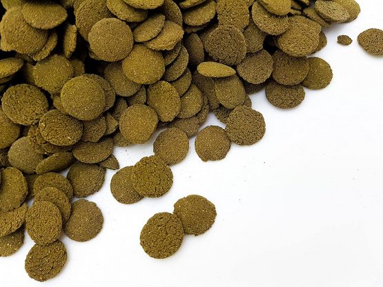 Heron's Pet World HERONS Premium Spirulina Algae Wafers FOR ALL BOTTOM FEEDING TROPICAL FISH Pleco Wafers Loach Cory Snail Shrimp (1000 gram / 1 kg)