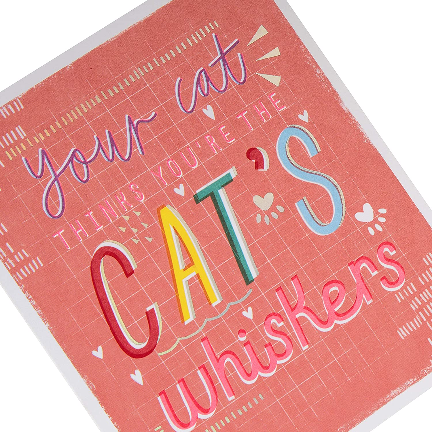 Hallmark Valentines Day Card from the Cat, Valentines Day Card, Fun Pink Message Design, Pink, Multicoloured, 16.2cm by 13.5cm - Image 3