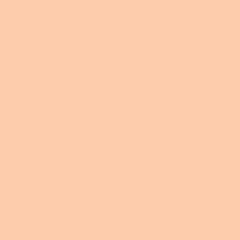 Daler-Rowney Graduate Acrylic Paint, Plastic Tube, 4oz - 120 ml, Peach Pink, 120 ml (Pack of 1) - Image 2