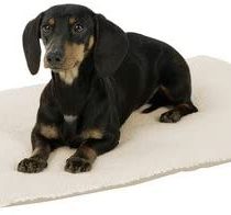 Kerbl Theo Bed Cushion, 75 x 50 x 3 cm, Beige
