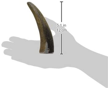 Chewies Buffalo Horn for Dogs, Filled Cow Horn from Water Buffalo, Natural Chew Toy, Dental Care and Fun in 1 - Image 2