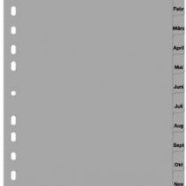 Durable 651410 monthly register 12 sheets (A4, embossed Taben Jan-Dec, PP full covering) 25 pieces, gray