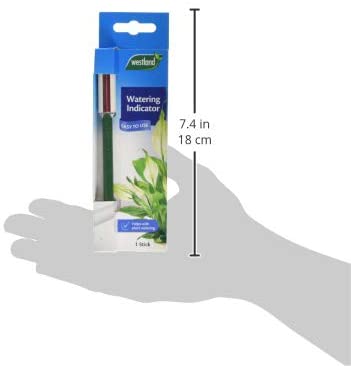 Westland When to Water Plant Watering Indicator, Blue, 1 x 6 x 19 cm - Image 2