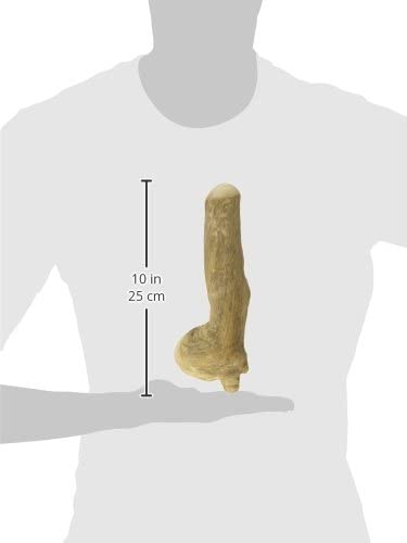Chewies Chew Bone Dog Toy Made of Coffee Wood 100% Natural Dog Accessories Chew Toy for Dogs Over 20 kg Chew Stick Size L - Image 3