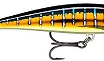 Rapala X-Rap Magnum Cast Lure with Hooks Two No 2, 1.2-1.5 m Swimming Depth, 10 cm Size, HD Sailfsh UV