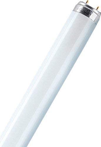 Osram 999046545046 18 Watt Lumilux T8 Fluorescent Lamp Sockets, White