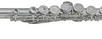 Roy Benson FL-102 Flute with Case