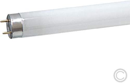 Osram 999046545046 18 Watt Lumilux T8 Fluorescent Lamp Sockets, White - Image 2