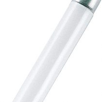 Osram Fluorescent Lamp Lumi 36W 120cm, White, 1 Count (Pack of 1)