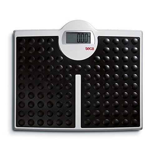 Seca 813 1018885 Seca Digital Bathroom Scale