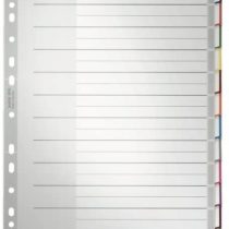 Leitz 12730000 Plastic Index Blank A4 Polypropylene 12 Sheets Grey