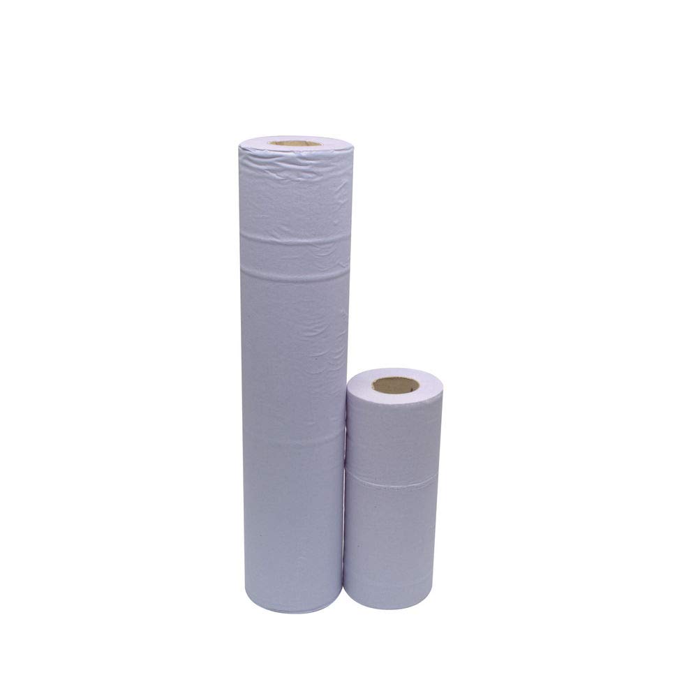 2Work 2-Ply Hygiene Roll 10 Inch Blue (Pack of 24) KF03806