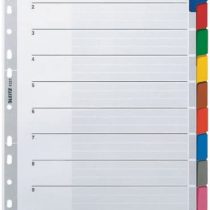 Leitz – 43210000 Divider File Dividers (Tab Blank Index Card, Colour, Portrait, A4, 160 g/m²)