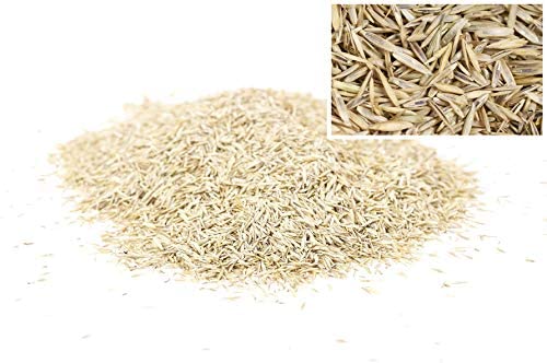 Wolf Garten LG 125 Sports and Play Lawn Seed, 2.5 KG = 125 M² - Image 3
