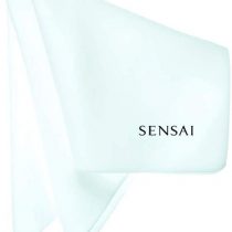 Sensai Sponge Chief