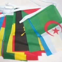 AZ FLAG 54 African Countries 16 meters BUNTING Flag 54 flags 9'' x 6'' - 54 nations of Africa STRING flags 15 x 21 cm