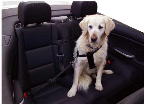 Kerbl Adjustable Safety Belt, Size Medium, Black - Image 2