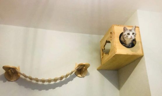 HC Wall Mounted Wooden Cat Tree with Climbing Step Shelves, Cat Perch Activity Centres Pet Play Furniture (Wooden) - Image 4