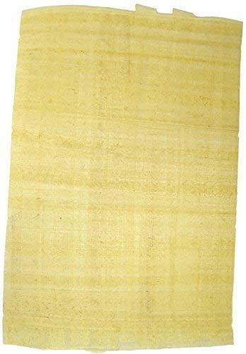 Major Brushes 10 Sheets Egyptian Papyrus Paper & Hieroglyphics INFO, White/Dark Grey Heather