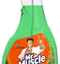 Mr Muscle Window Glass Cleaner 5in1 -638486 - packaging may vary