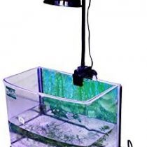 Marine Color Adjustable LED Clamp Lighting Mount/clip Holder E27 Socket Gooseneck Clamp/Mount