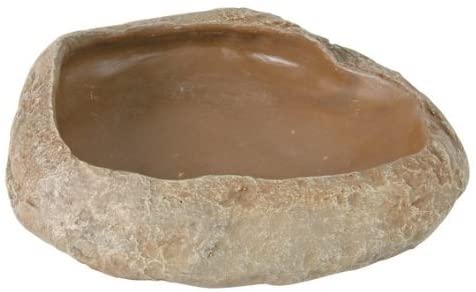 Trixie 76181 Water and food bowl, reptile 11 × 2.5 × 7 cm, Beige, 11 x 2.5 x 7 cm - Image 3