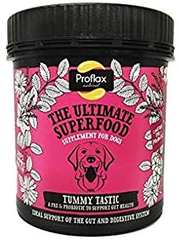 Proflax Tummy Tastic Digestive Care for Dogs - Pre & Probiotic Blend for Gut Health Digestion & Stool Quality - 350g