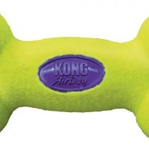 KONG Air Dog Squeaker Bone Dog Toy - Small