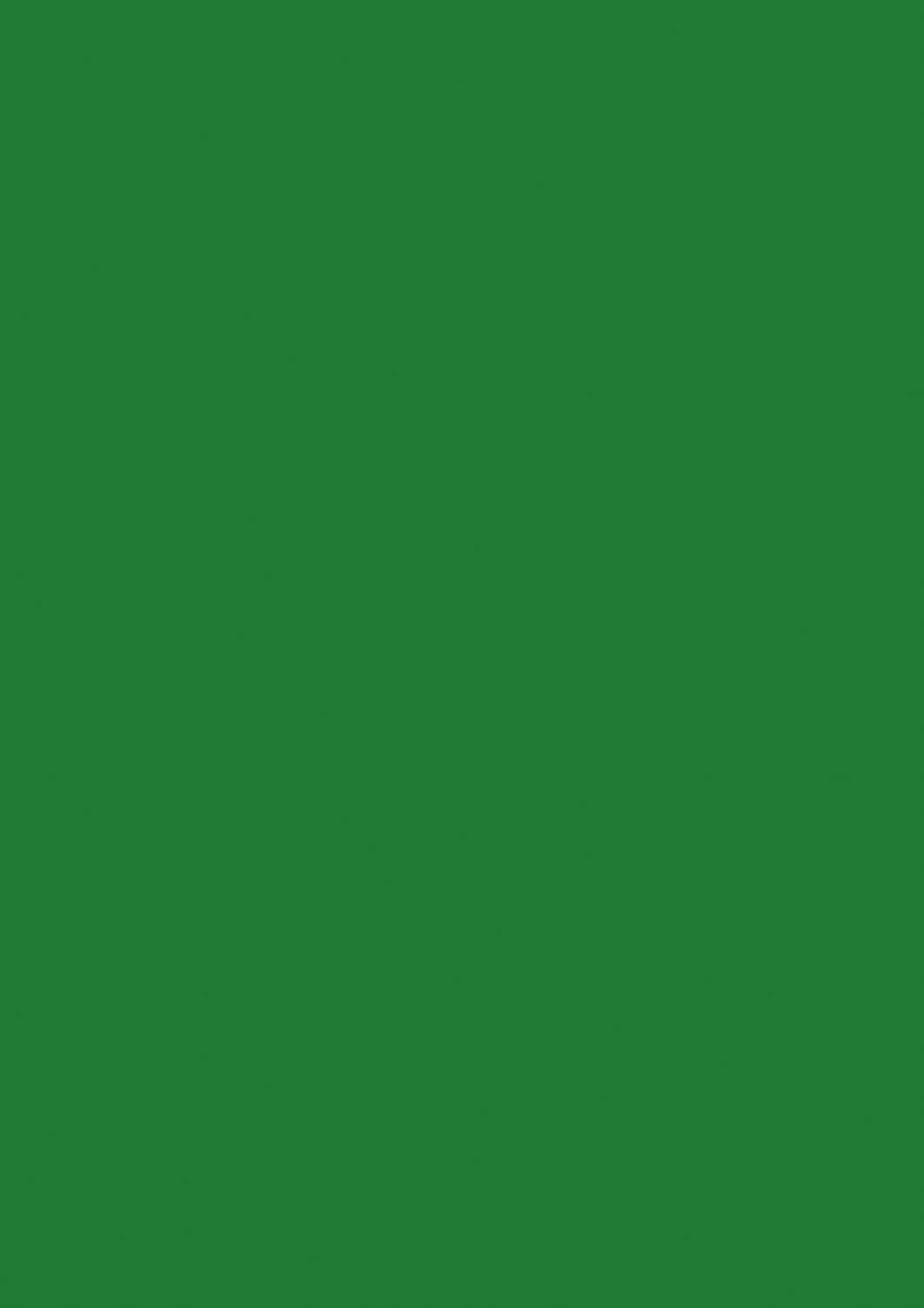 Baier & Schneider Paper, Multi-Purpose Paper A4 80 g/m² - 50 sheets Dark -green, dark green