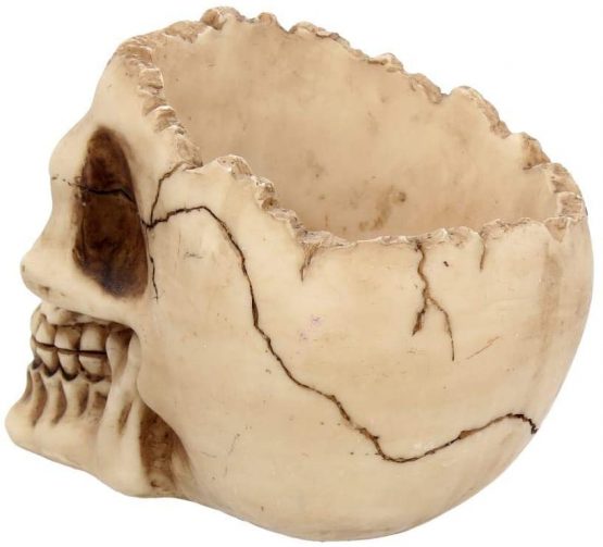 Nemesis Now Lobo Ashtray 13.5cm Ivory - Image 4