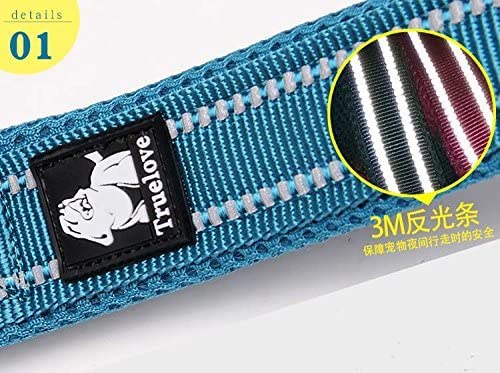 TRUE LOVE Dog Leash Puppy Walking Lead Pet Chain Padded Reflective Night Safe Rope Length 110cm TLL2111(Blue,M) - Image 3