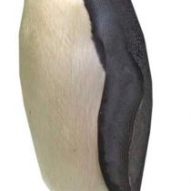Star Cutouts Ltd SC4009 Penguin Mini Perfect for Animal Cardboard Cutouts Height 86cm Width 48cm, Multicolour