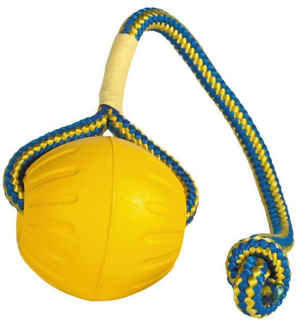 Everlasting Starmark 078062 Fantastic Foam Ball on A Rope, clear, 1