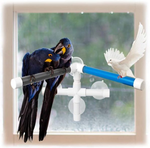 Furpaw Bird Perch, Parrot Shower Perches Portable Suction Cup Bird Window Perches Stand Platform