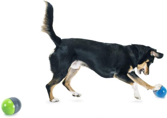 PetSafe Ricochet Electronic Dog Toys, Interactive Sound Game for Pets, Paired Electronic Squeak Toys - Image 3