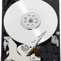 WD Black - 500GB Portable SATA Hard Drive - OEM